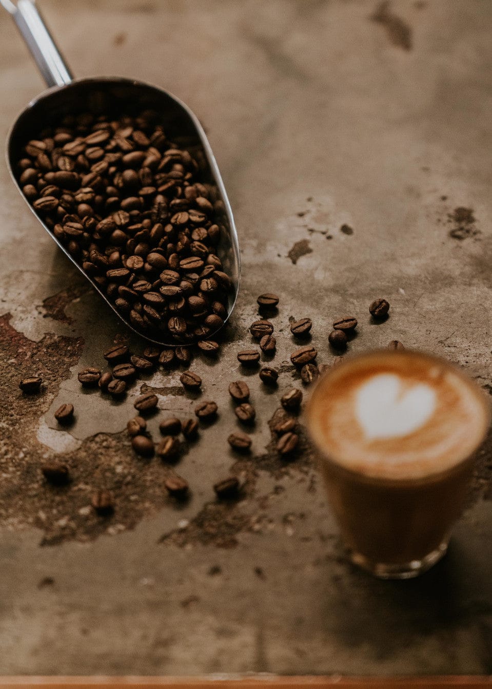 Beachville Coffee Roasters photo 5