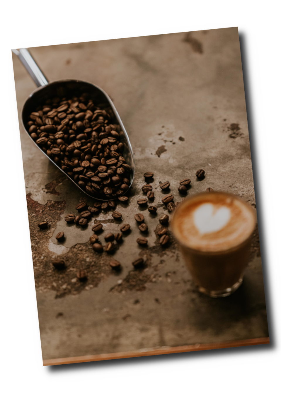 Beachville Coffee Roasters photo 3