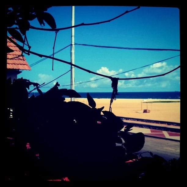 Cafe Coffee Man Roasters photo 4