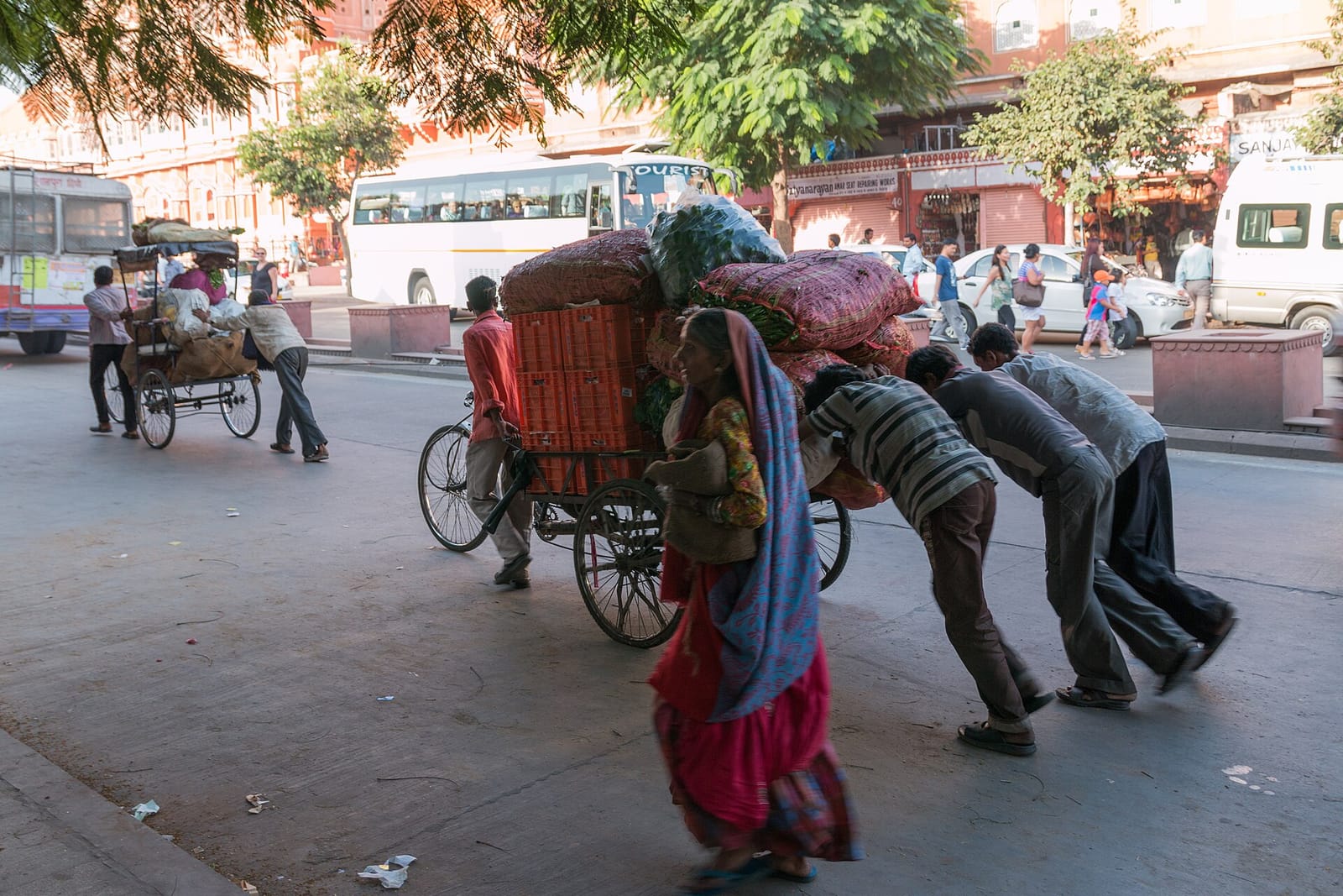 Jaipur Vista Cafe photo 3