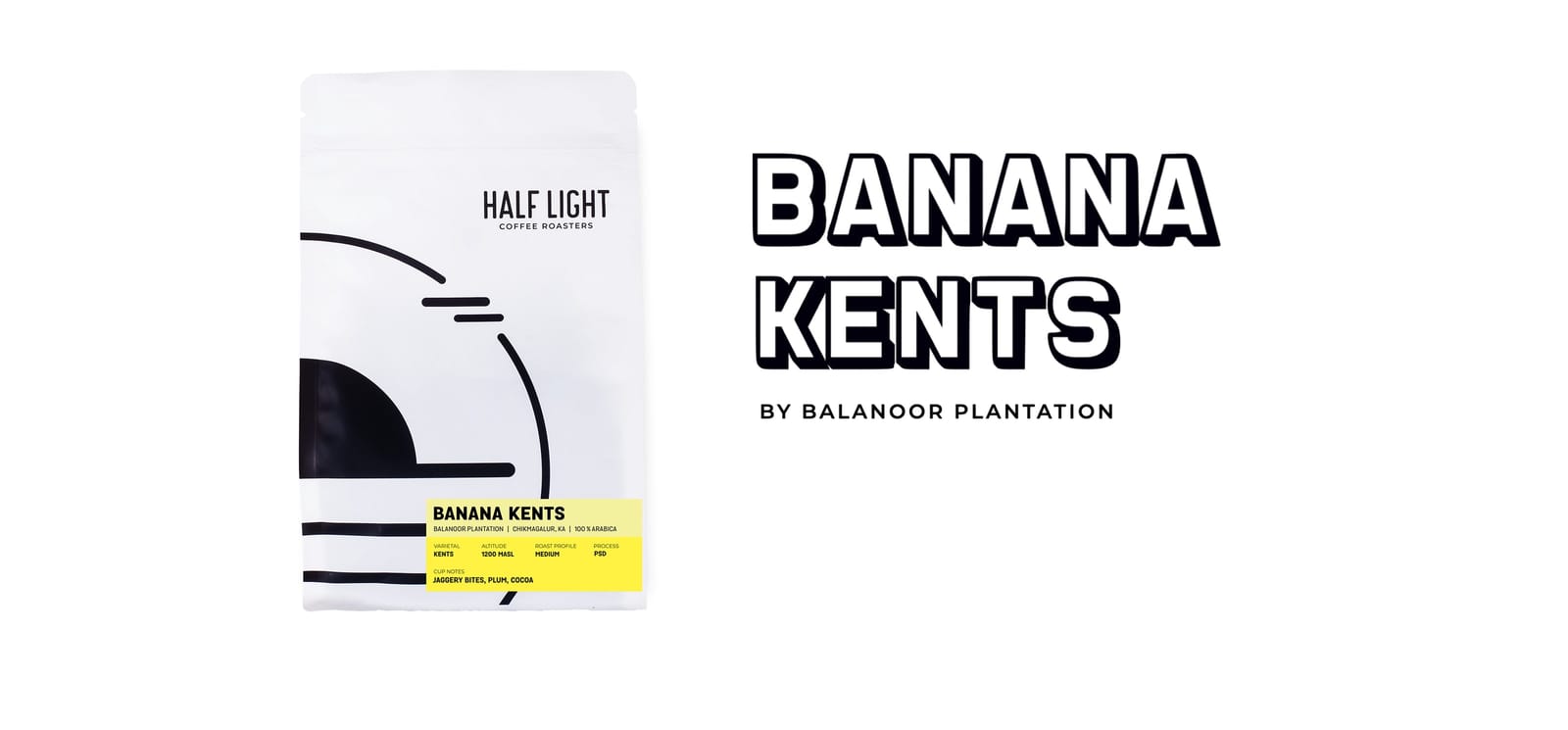Half Light Coffee Roasters photo 9