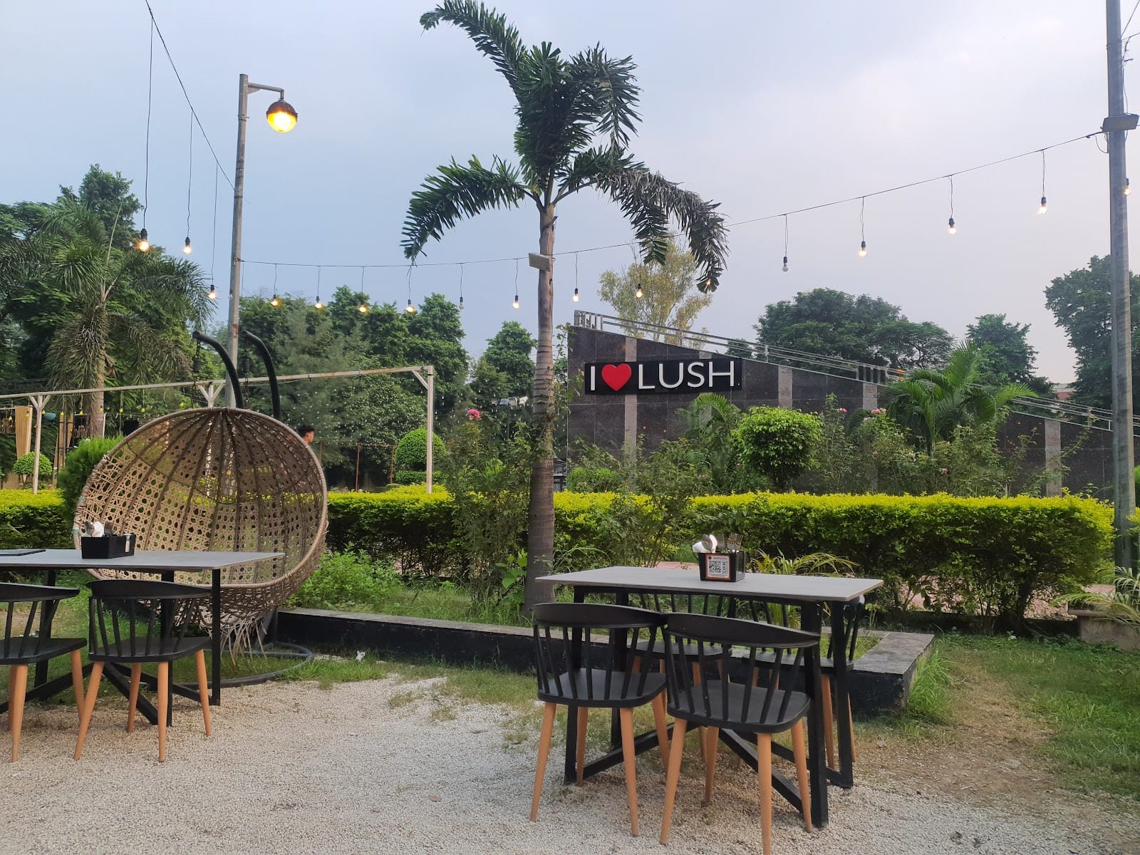 Lush Garden & Cafe