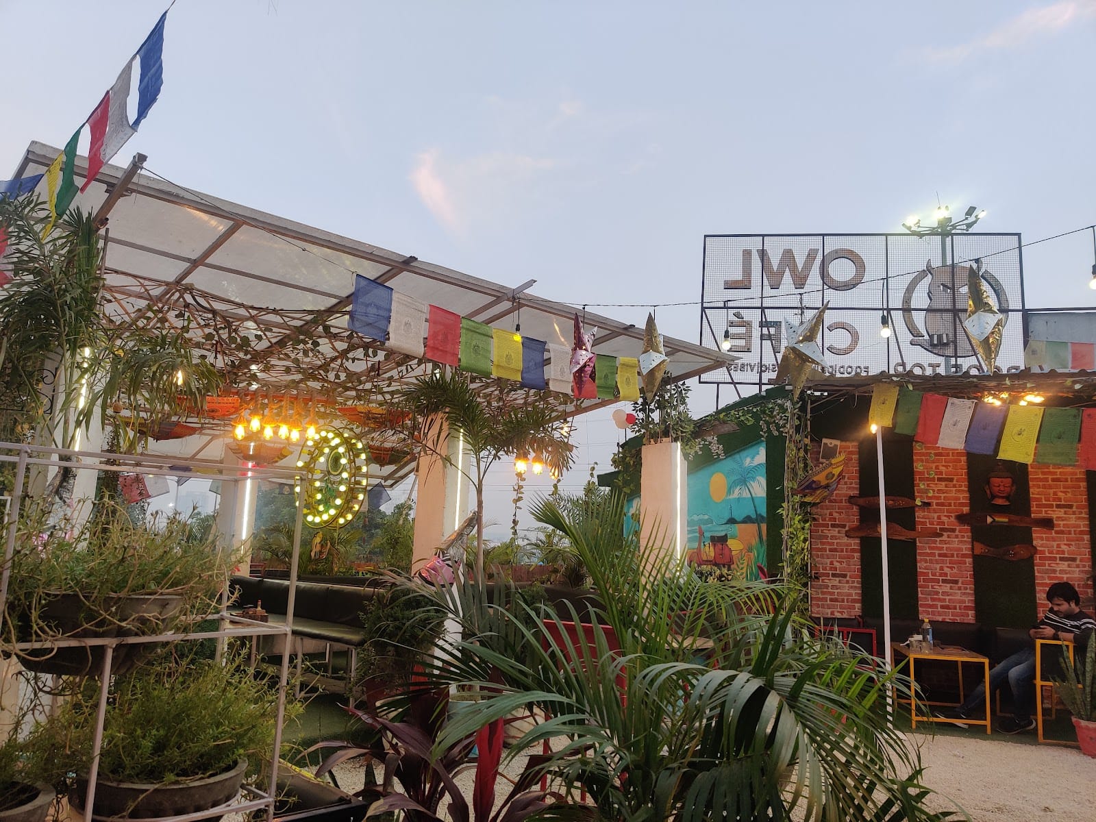 Owl Cafe