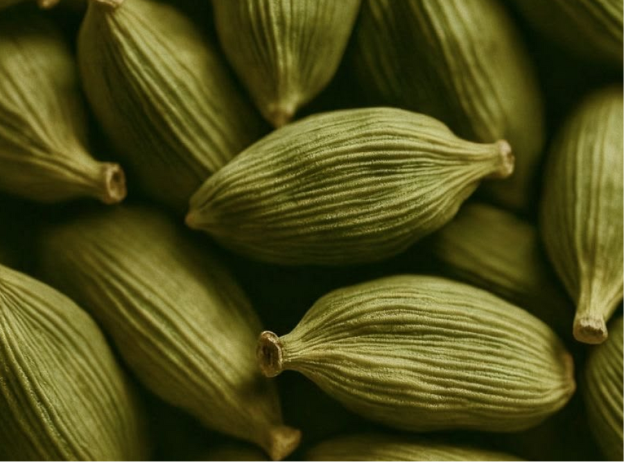 bai mu dan photo 7