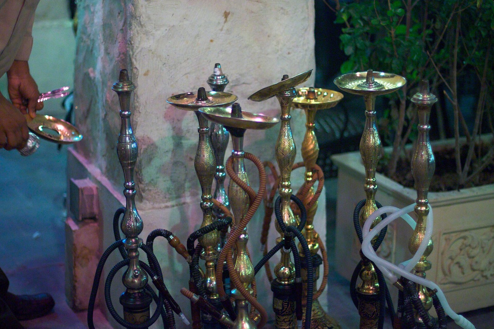 Golden Coffee Shop photo 5