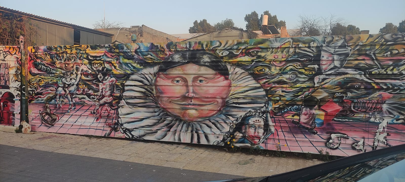 Du-DA דודא photo 2