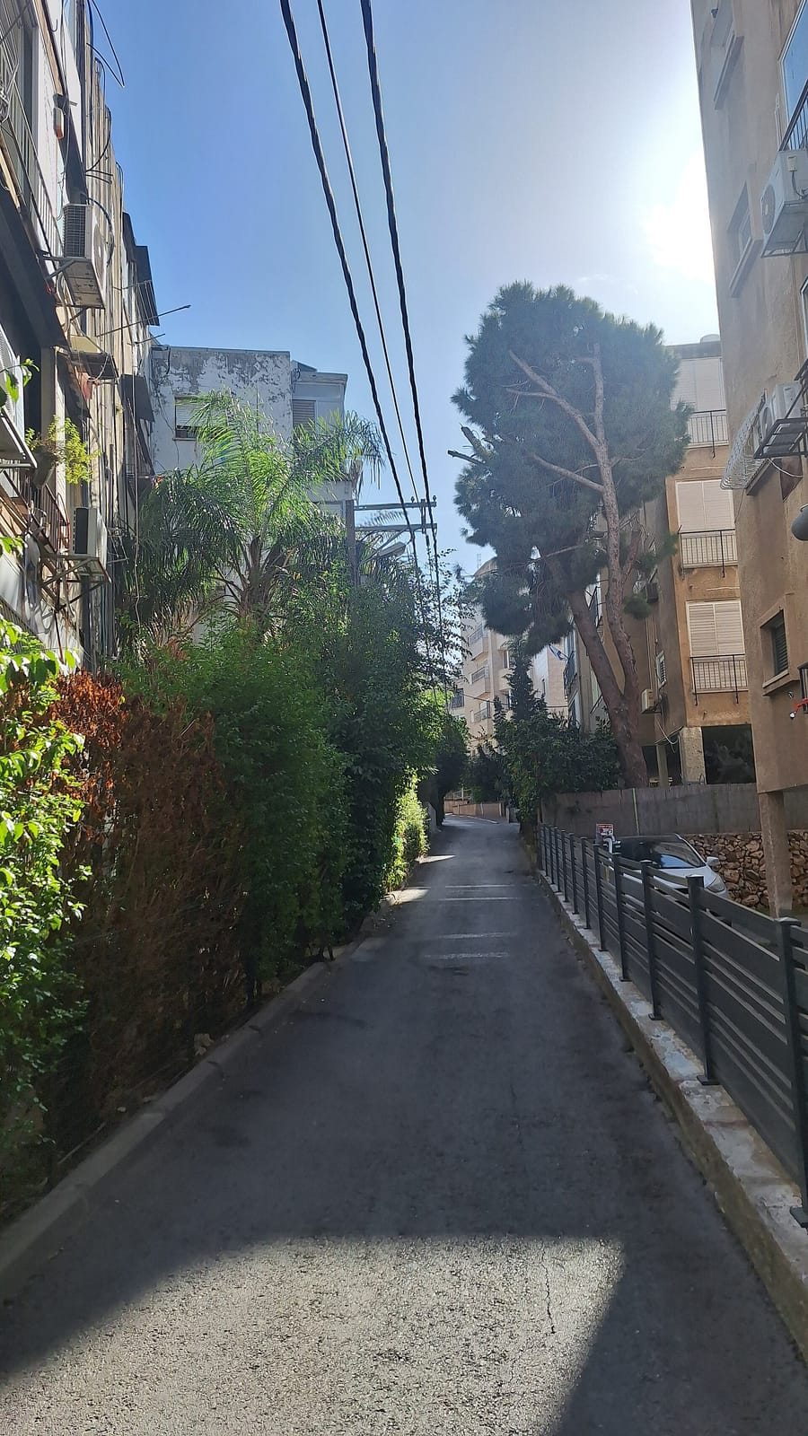 תומס קפה - שינקין photo 4