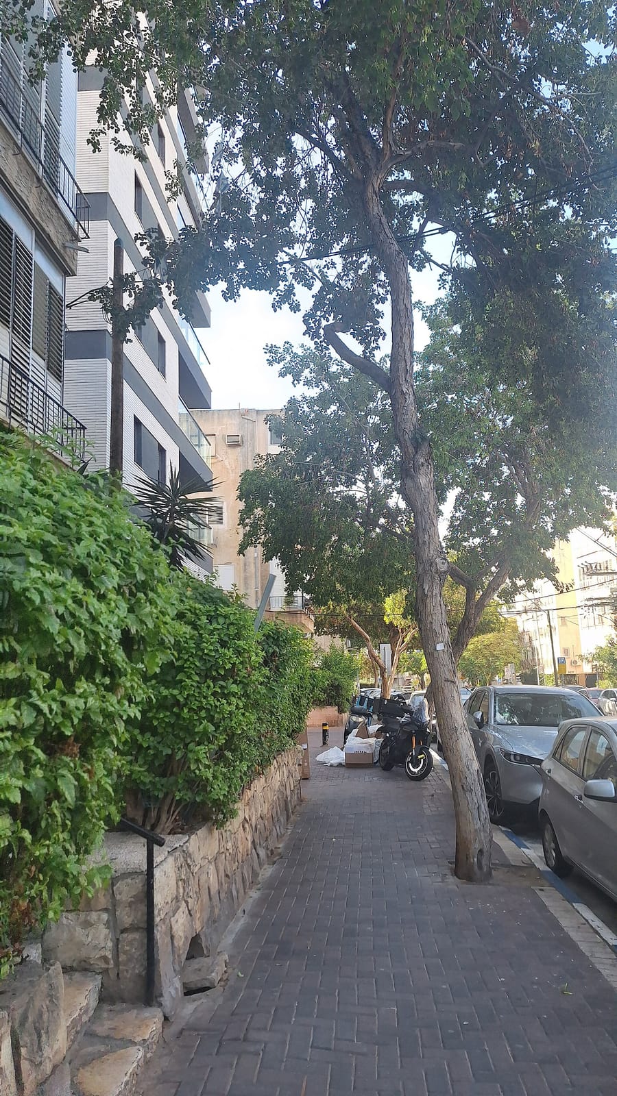 תומס קפה - שינקין photo 3