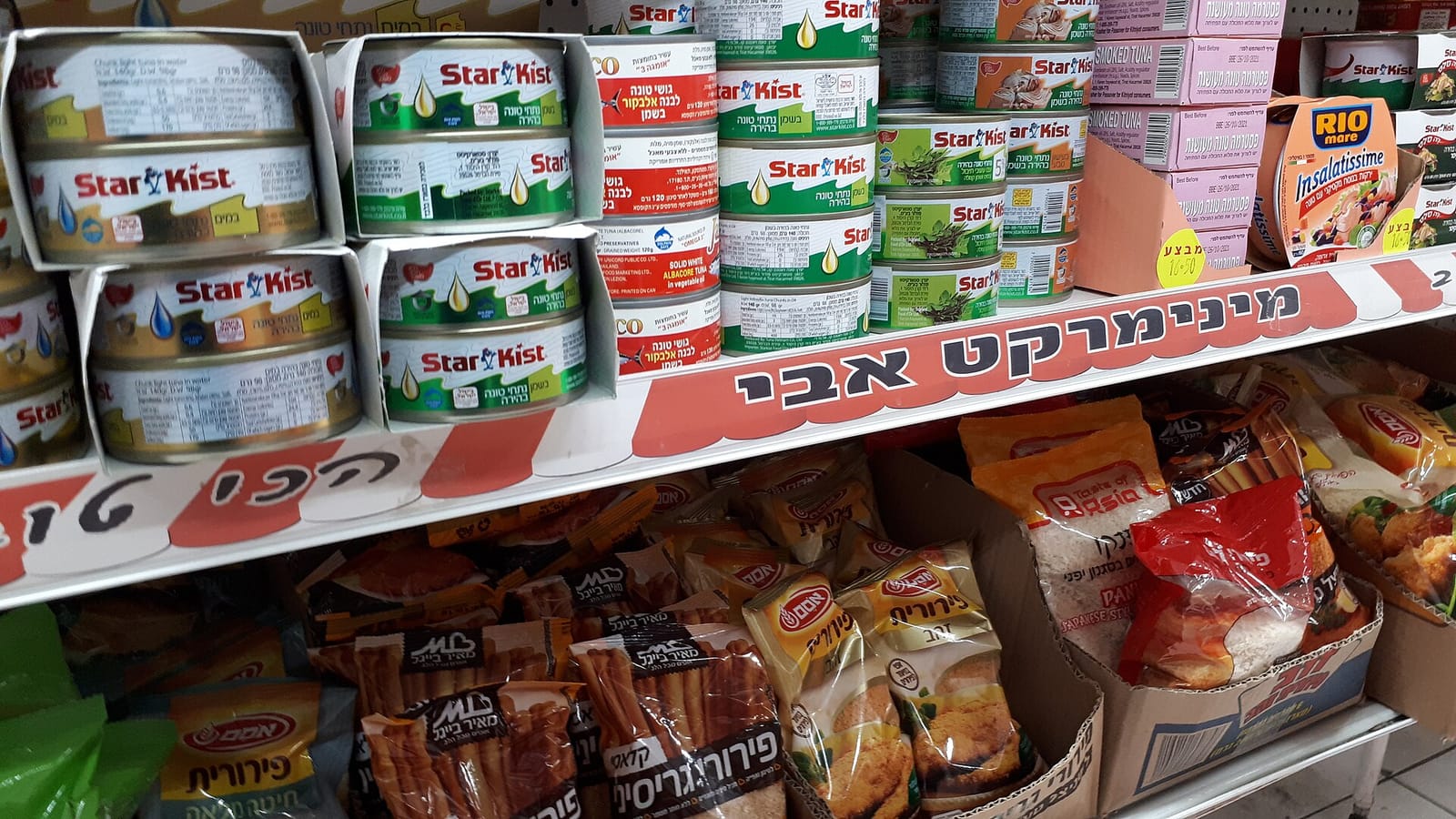שרה 16 photo 3