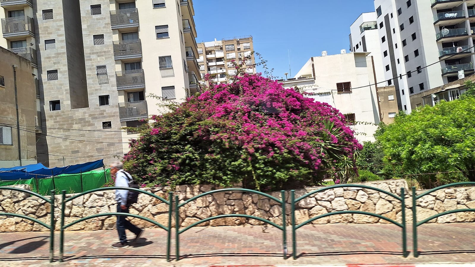הרואה 39 - בר קפה שכונתי photo 2
