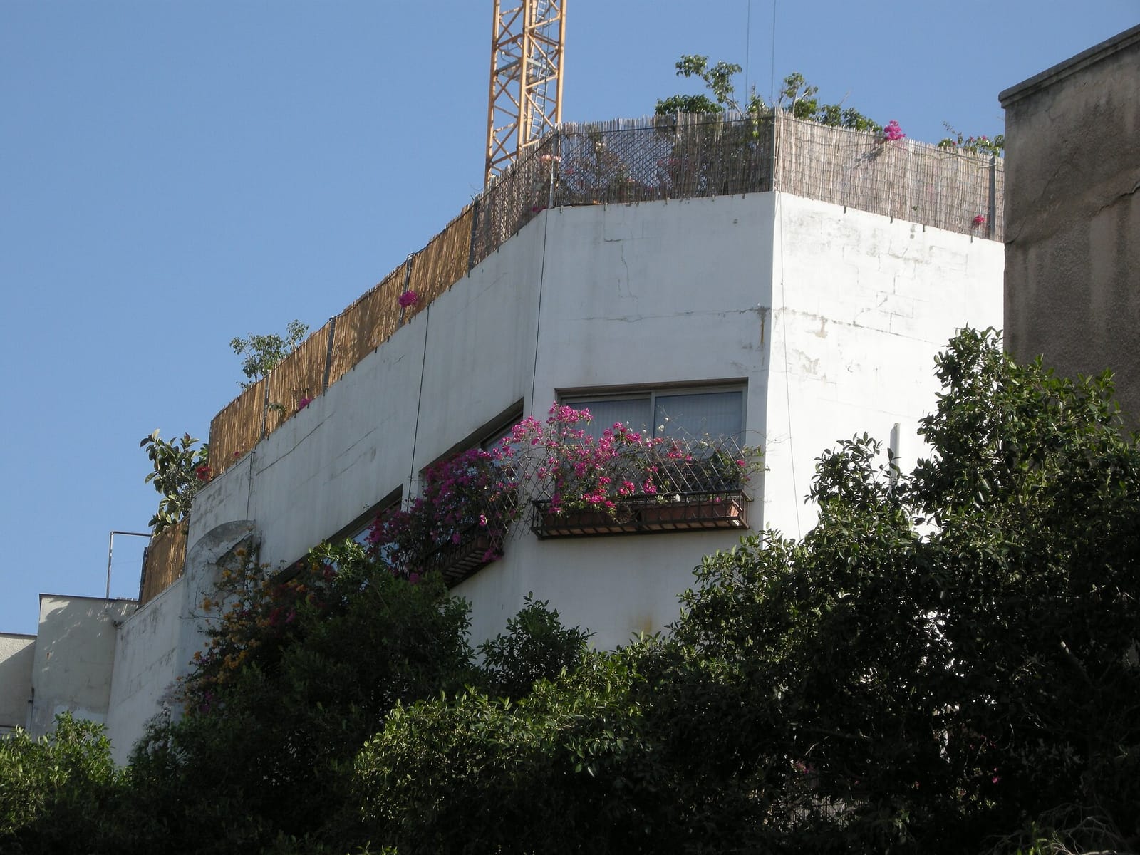 HaMaagal photo 3