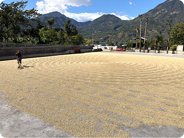 Altitude Coffee Specialty Coffee Roaster photo 2