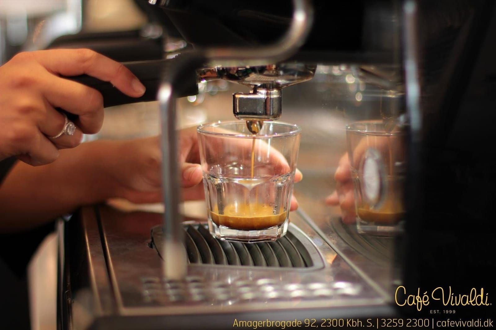 Cafe Vivaldi photo 2