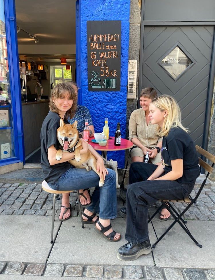 Byens Forlag og Bogcafé photo 5