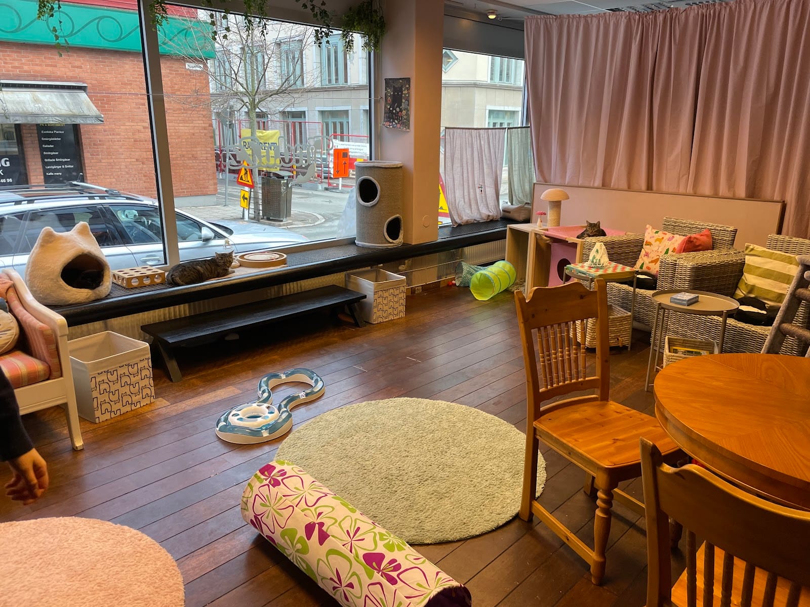 FinduZz Catcafe