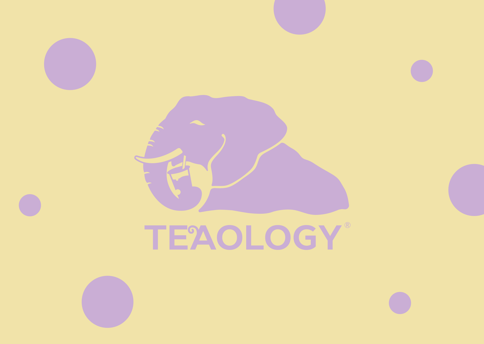 TeaOlogy Tønsberg - the finest tea and coffee in Norway photo 2