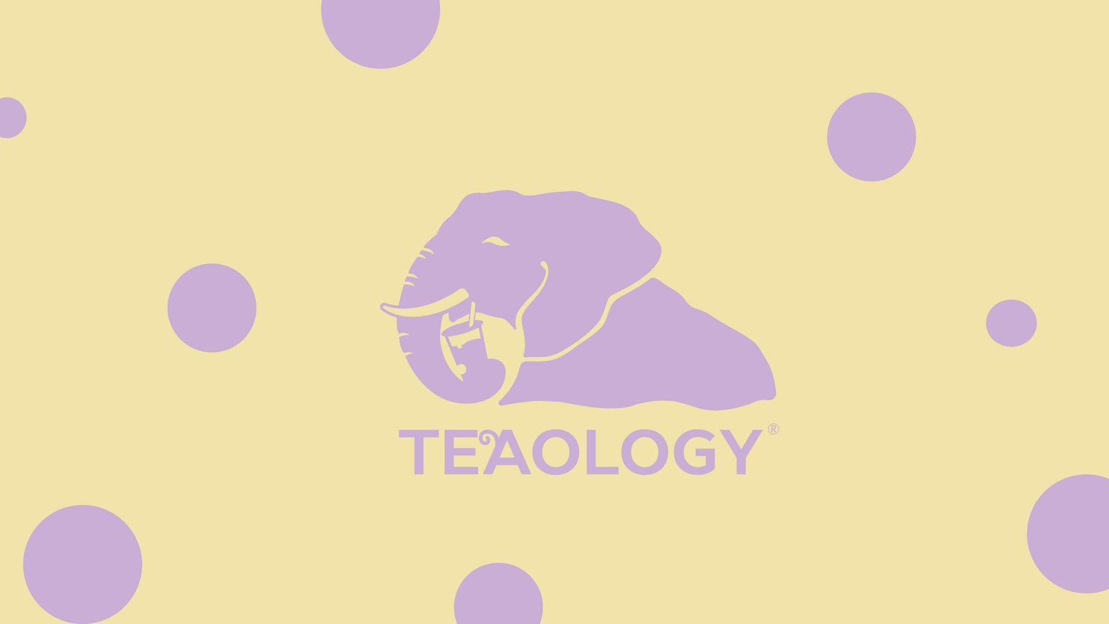 TeaOlogy Tønsberg - the finest tea and coffee in Norway photo 3