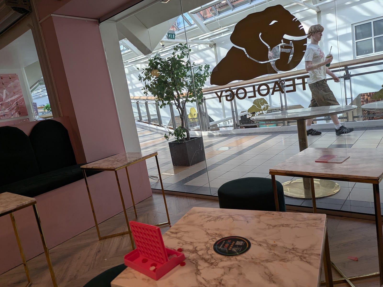 TeaOlogy Tønsberg - the finest tea and coffee in Norway