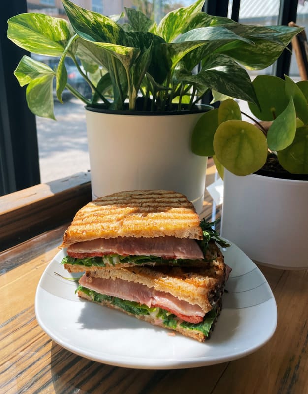 Daly Grind Cafe photo 5