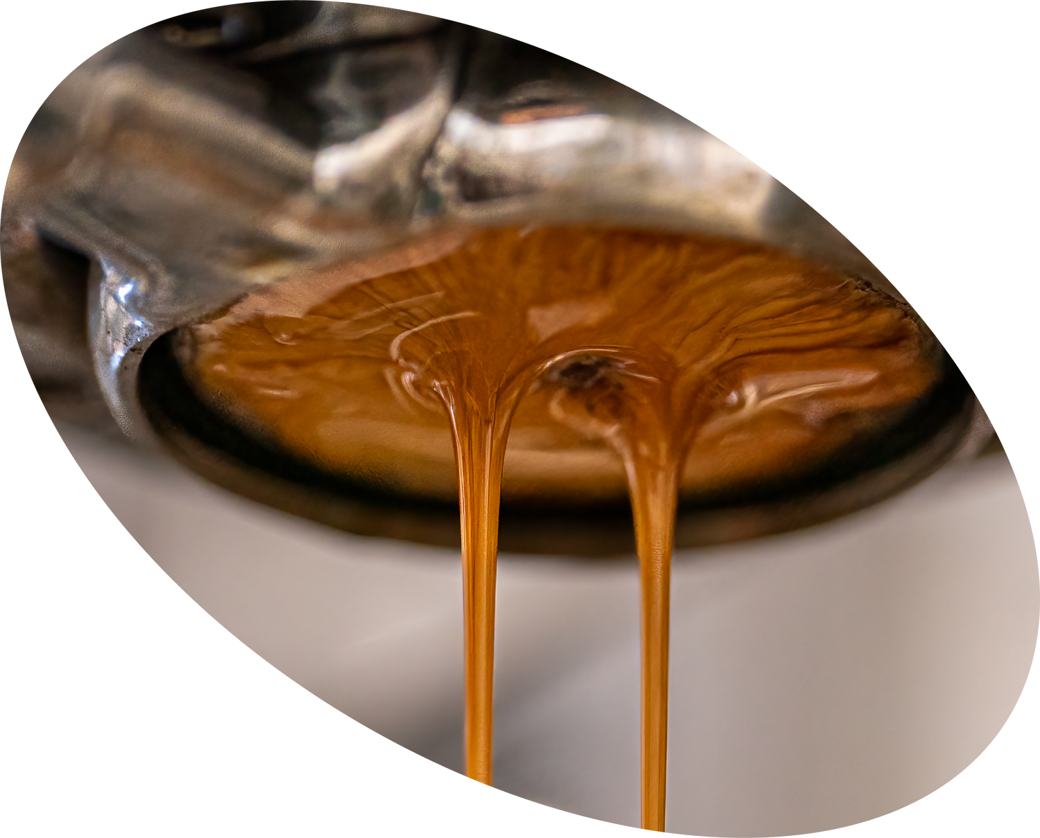 Barocco Coffee Company photo 2