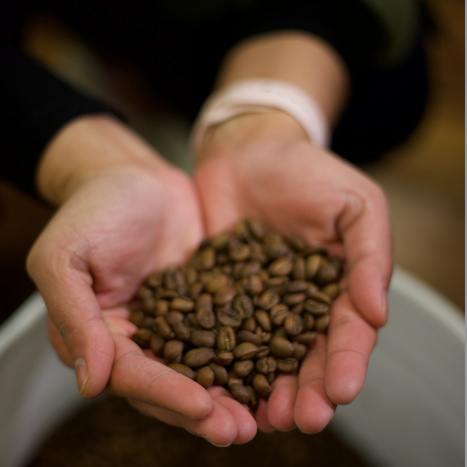 Poets & Prose Coffee Roasters photo 4