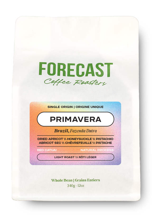 Forecast Coffee - Main Street photo 4