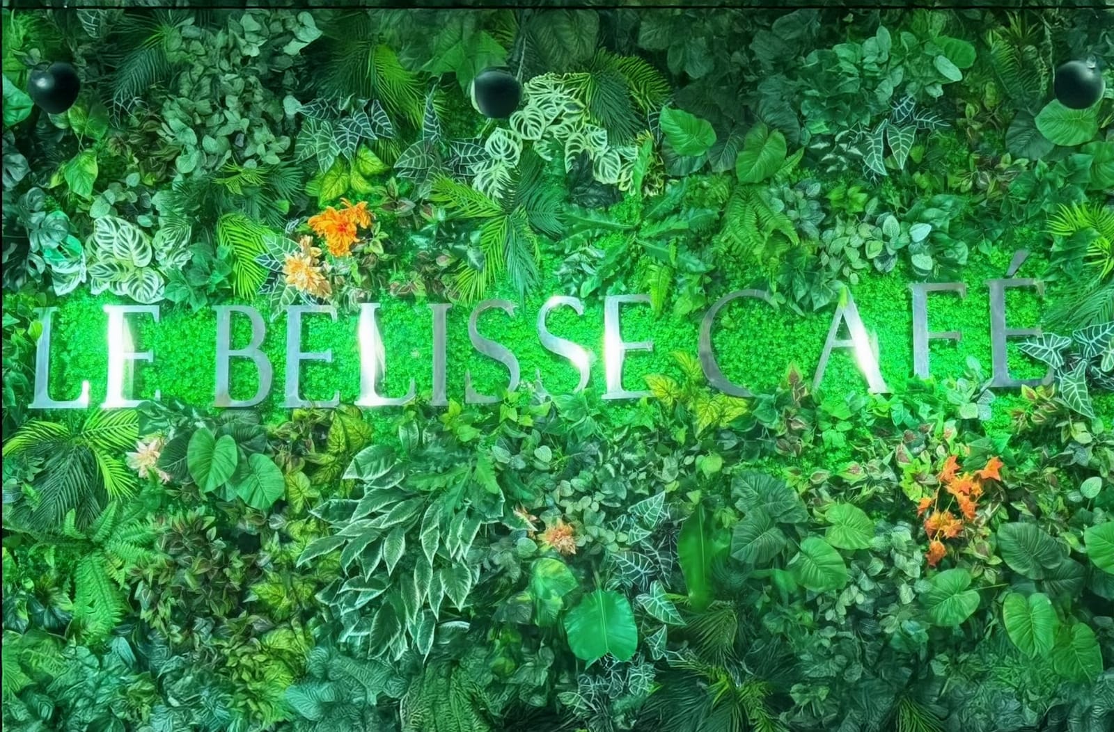 Le Belisse Café photo 2