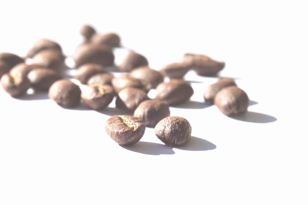 Prototype Coffee photo 4