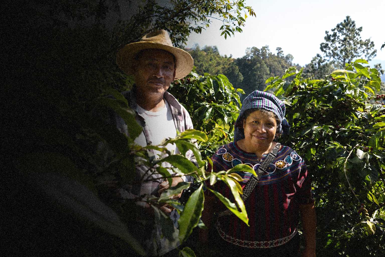Agro Coffee Roasters photo 3