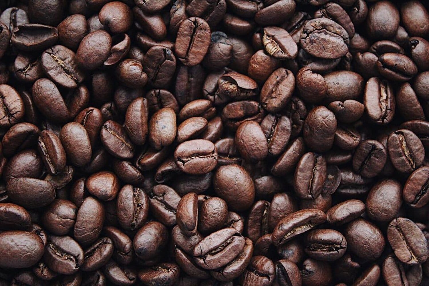 Milano Coffee Roasters photo 2