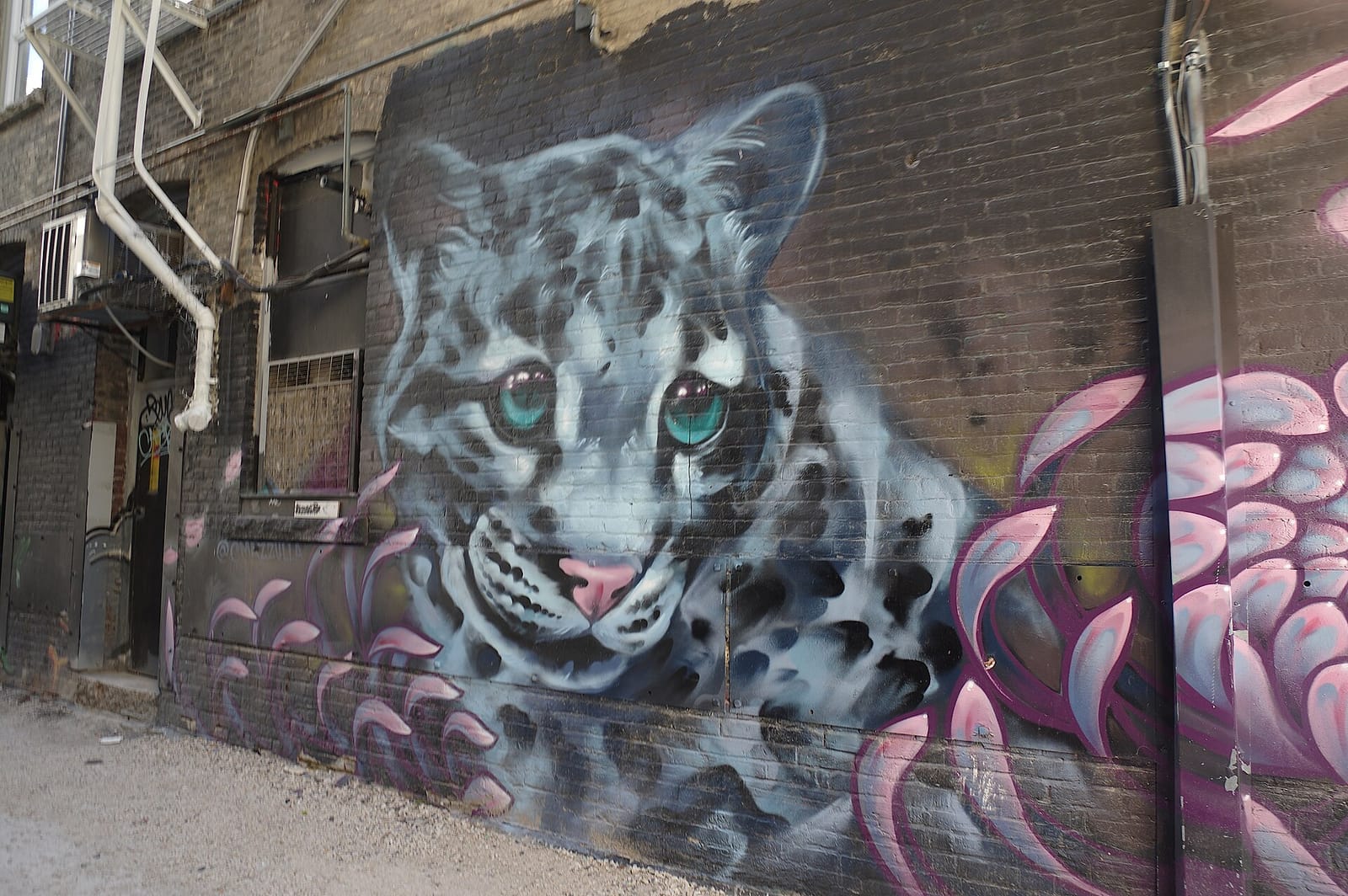 Passage Cafe photo 3