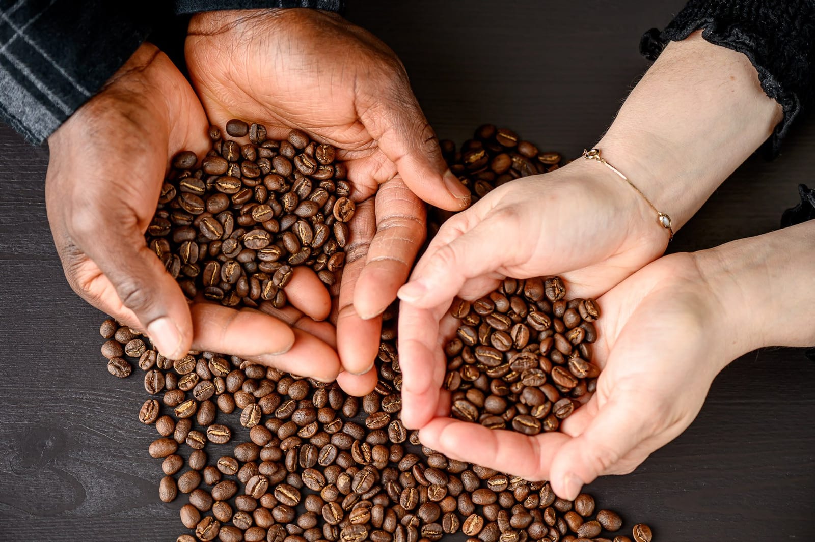 Thousand Hills Coffee Canada photo 3