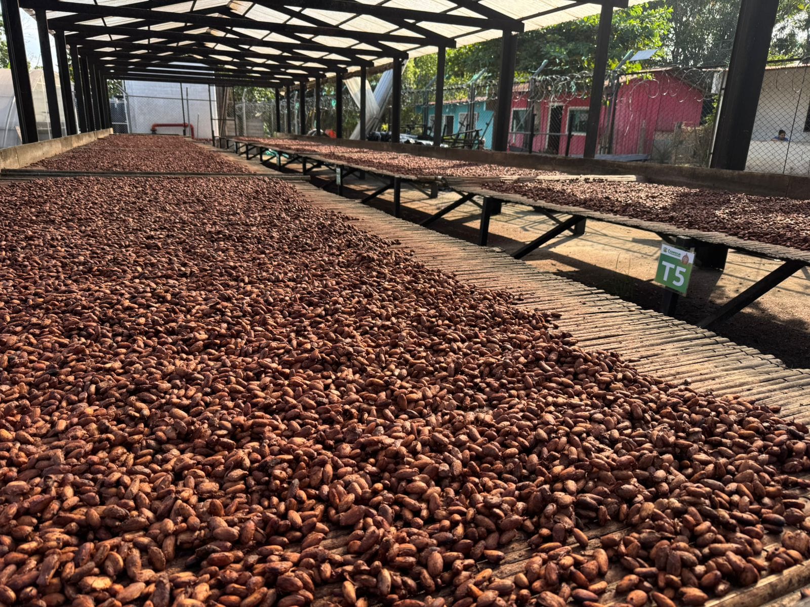 Coffee Graders SAS