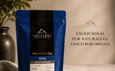Café Divino photo 2