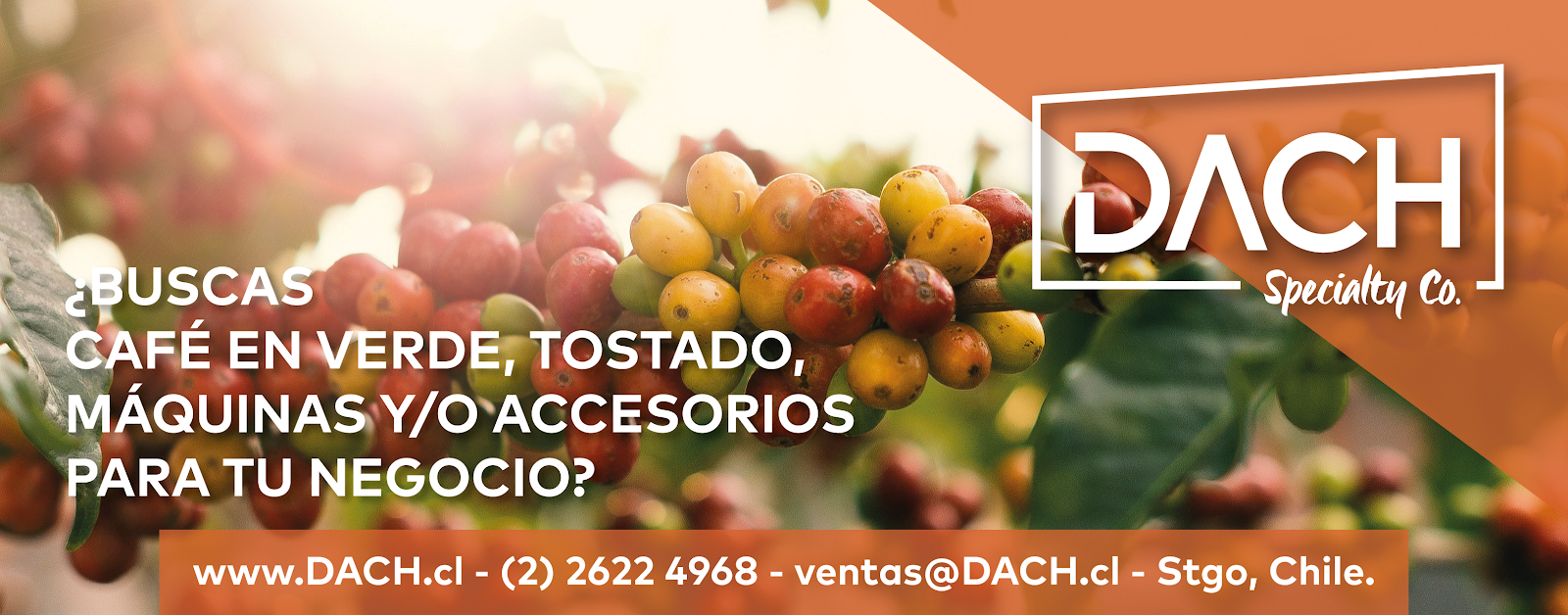 DACH Chile