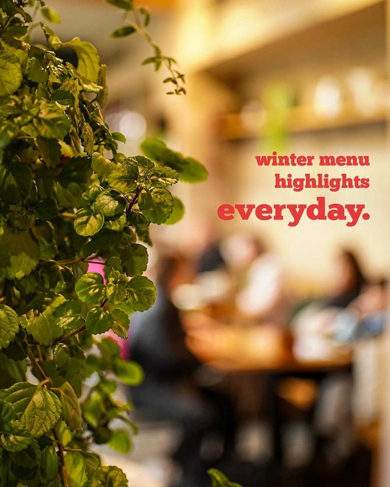 Everyday Eatery photo 6