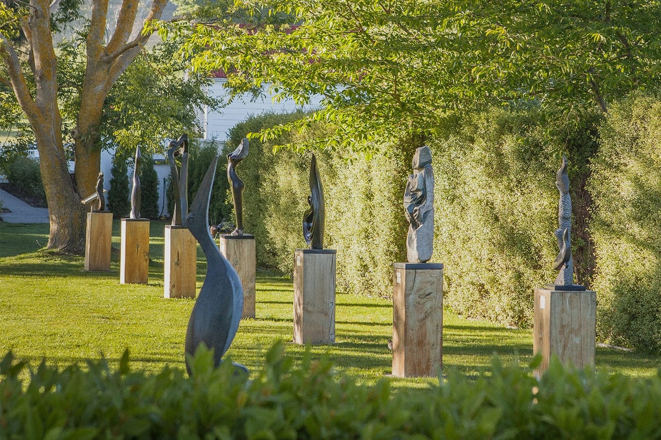 Birdwoods Havelock North photo 2