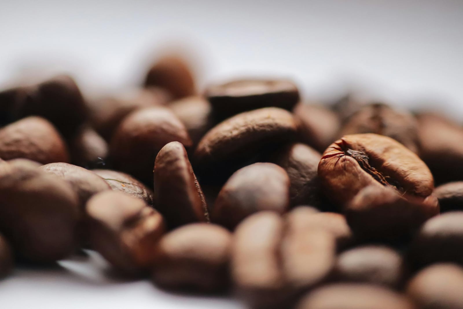 Fixation Coffee photo 2