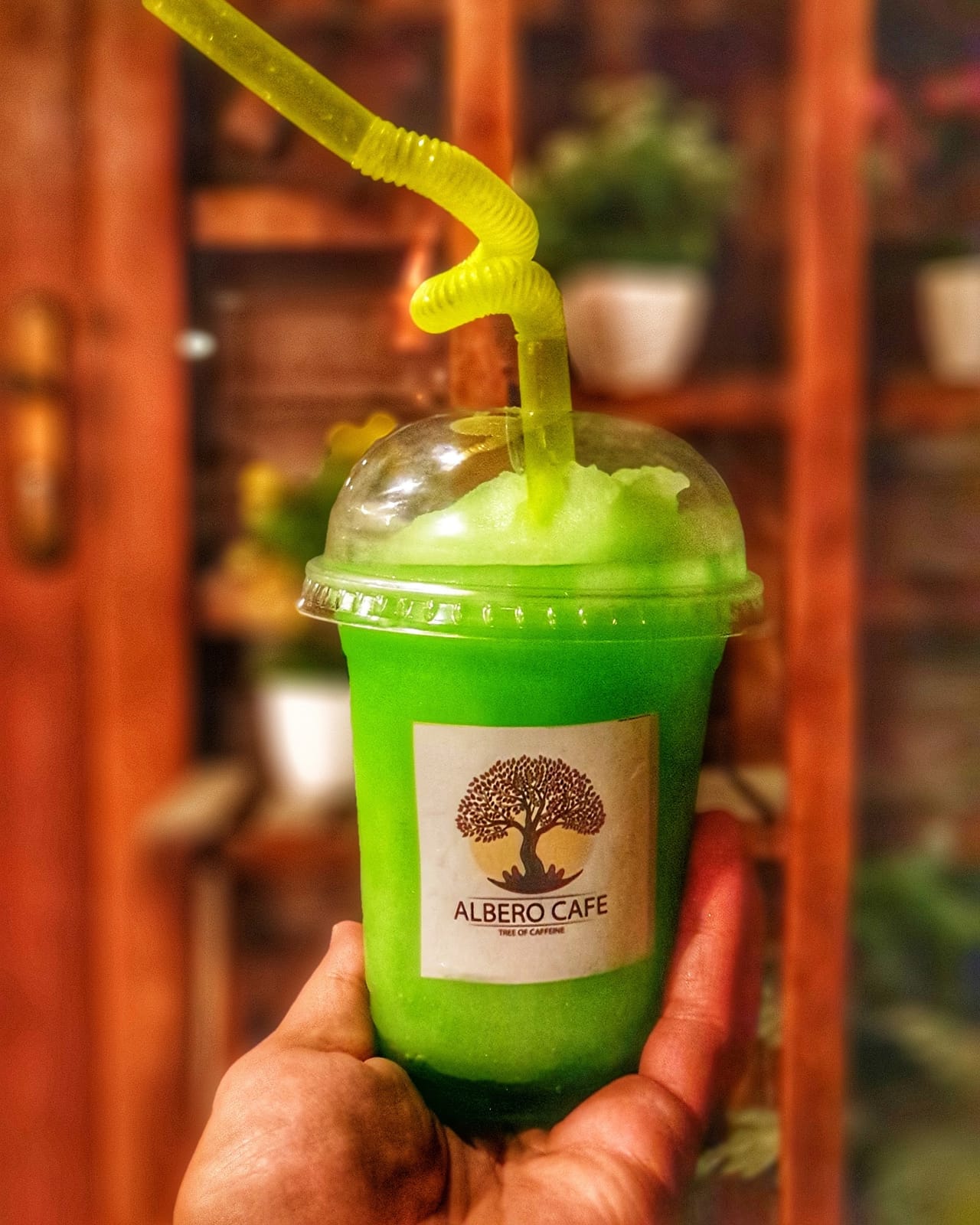 ALBERO CAFE
