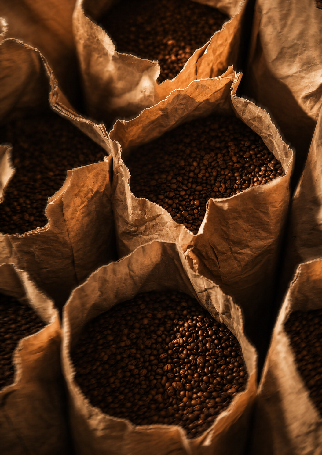 Seven Fortunes Coffee Roasters photo 7