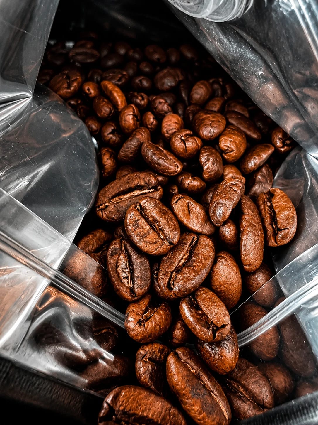 Seven Fortunes Coffee Roasters photo 6