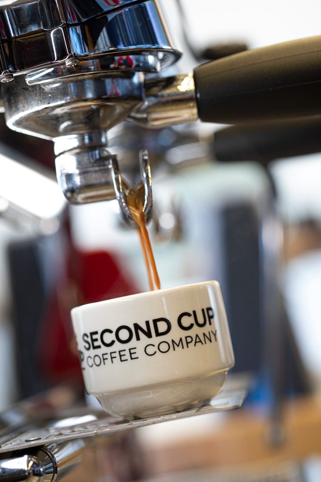 Second Cup Tanta photo 4