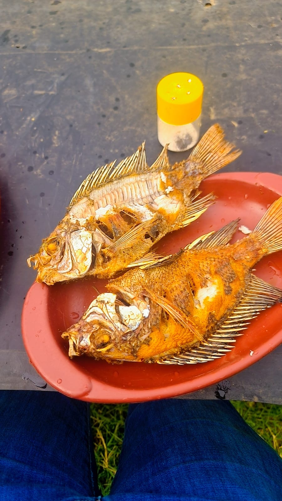 Fish point Naivasha