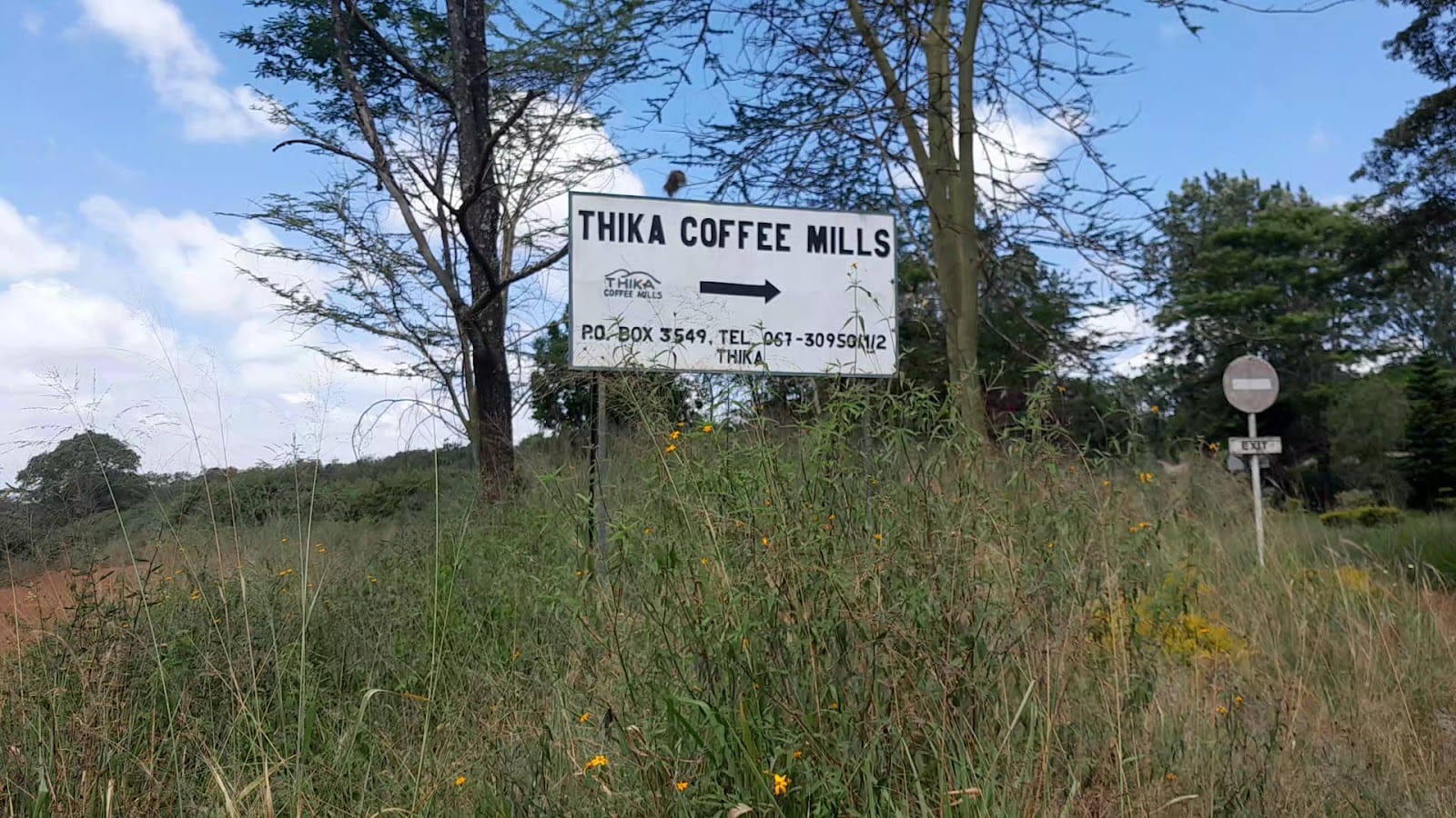 Thika Coffee Mills