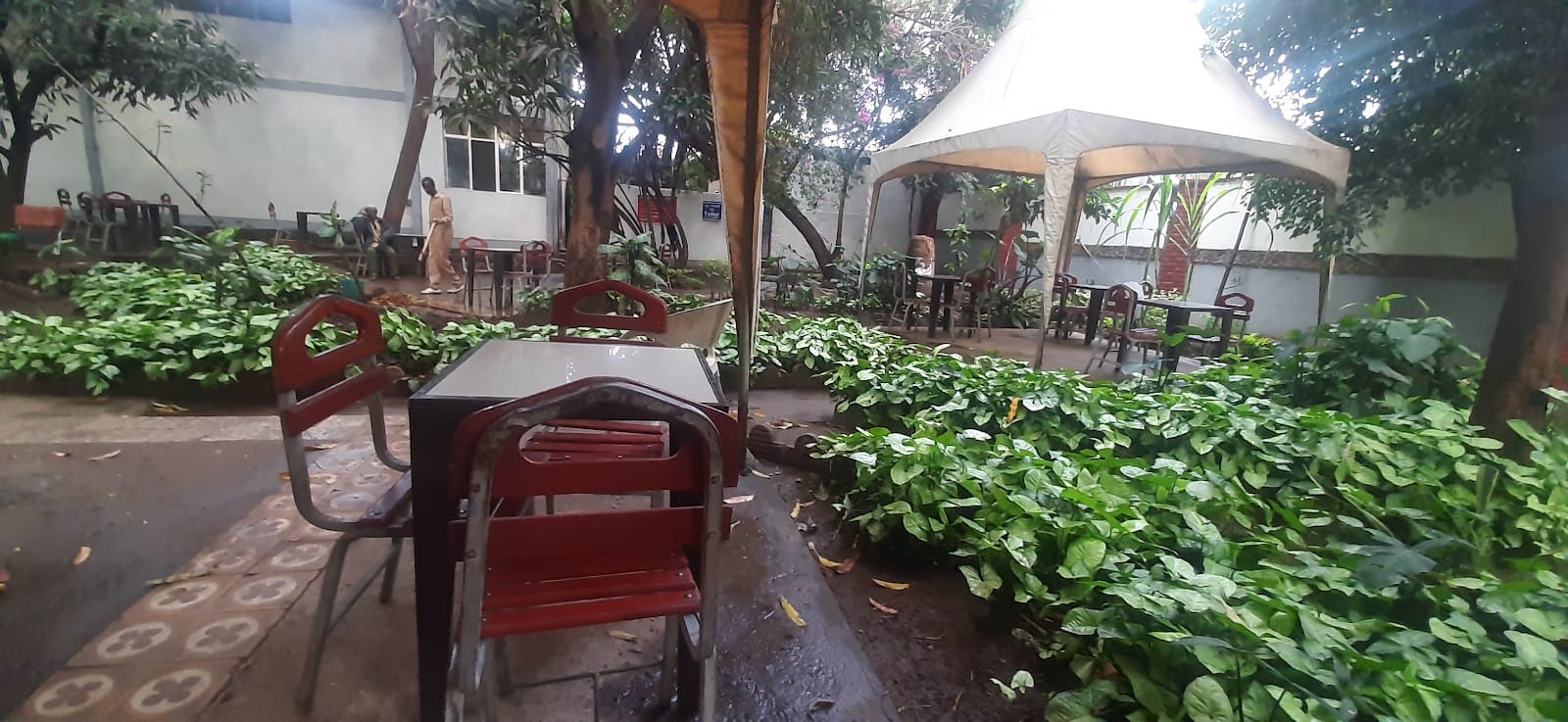 Zebib Snack & Cafe