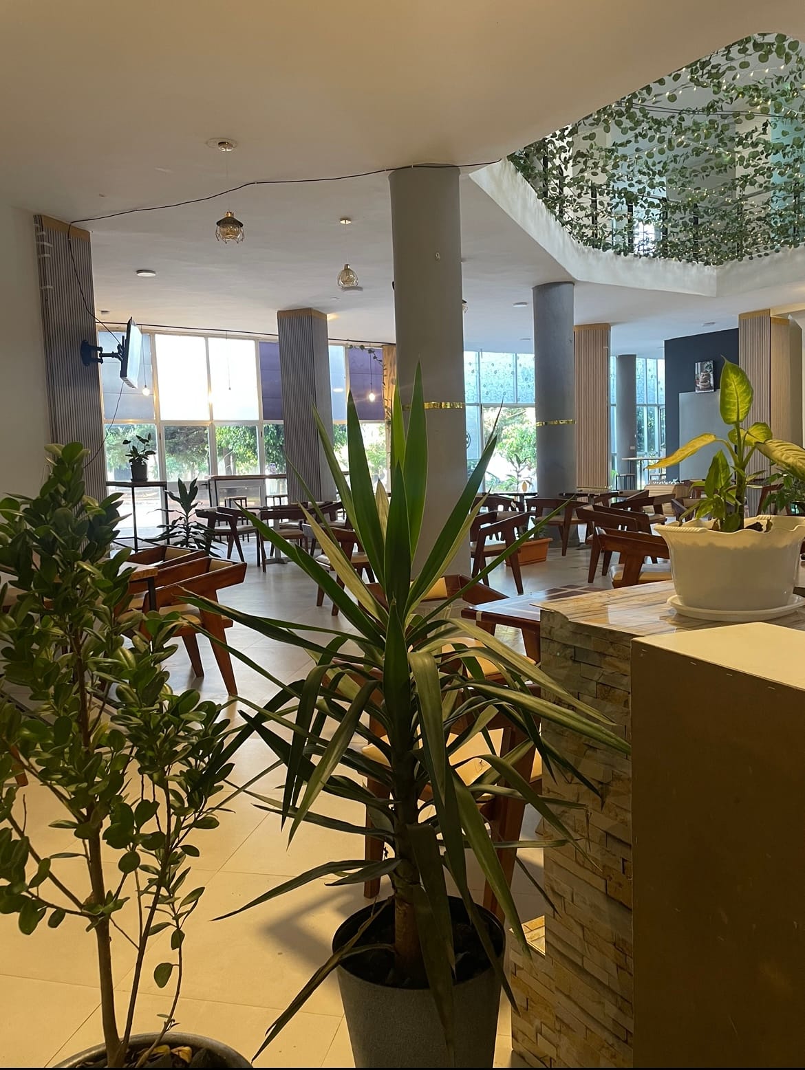 Nano Premium Coffee house