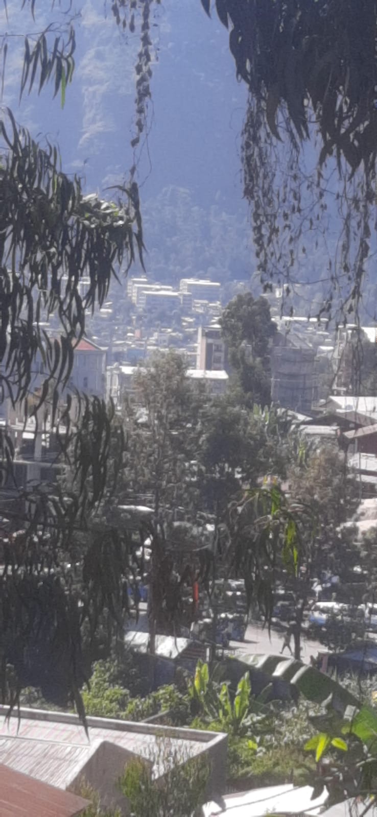 Inas Cafe (ኢናስ ካፌ )