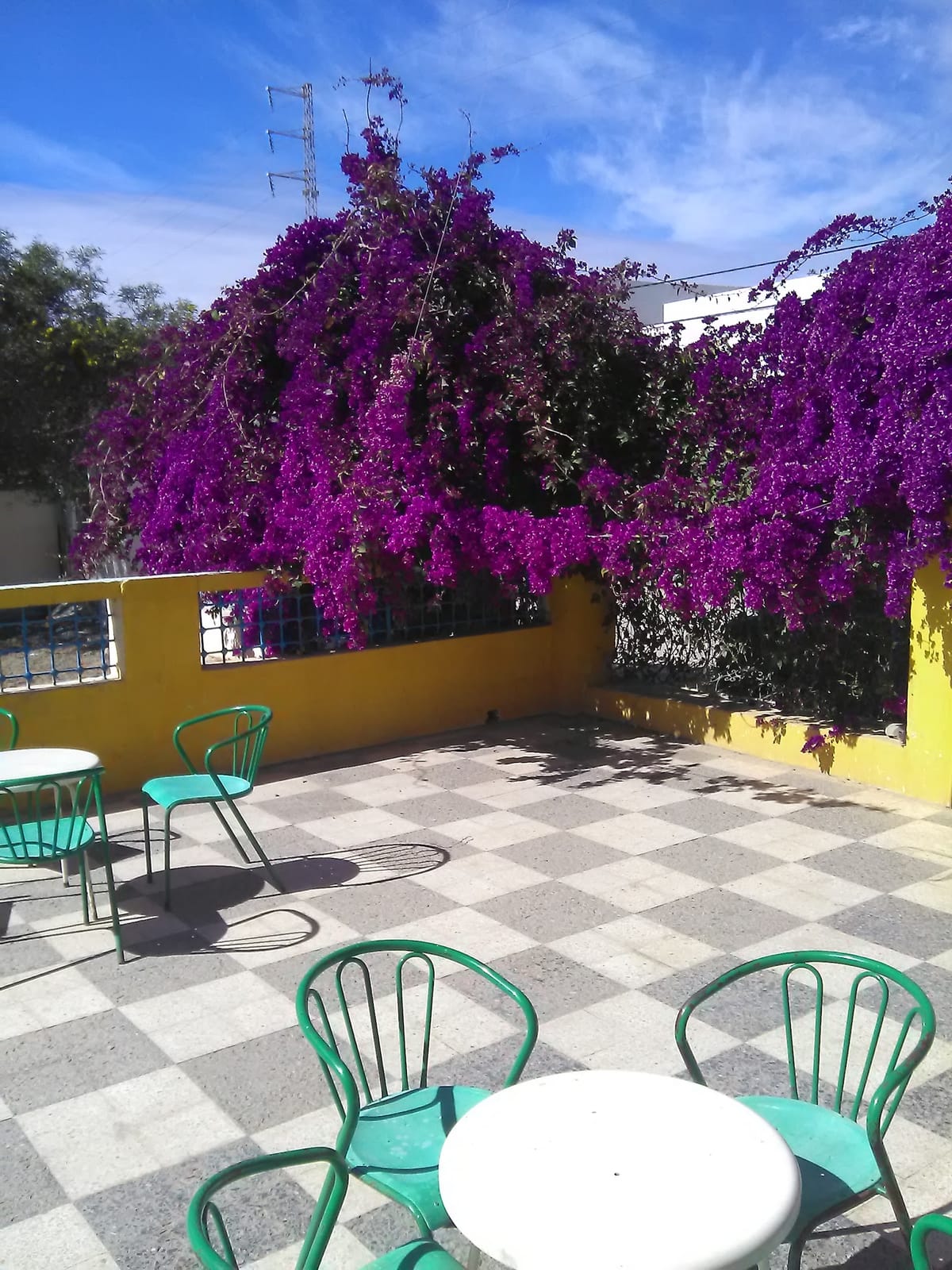 Café Hafa