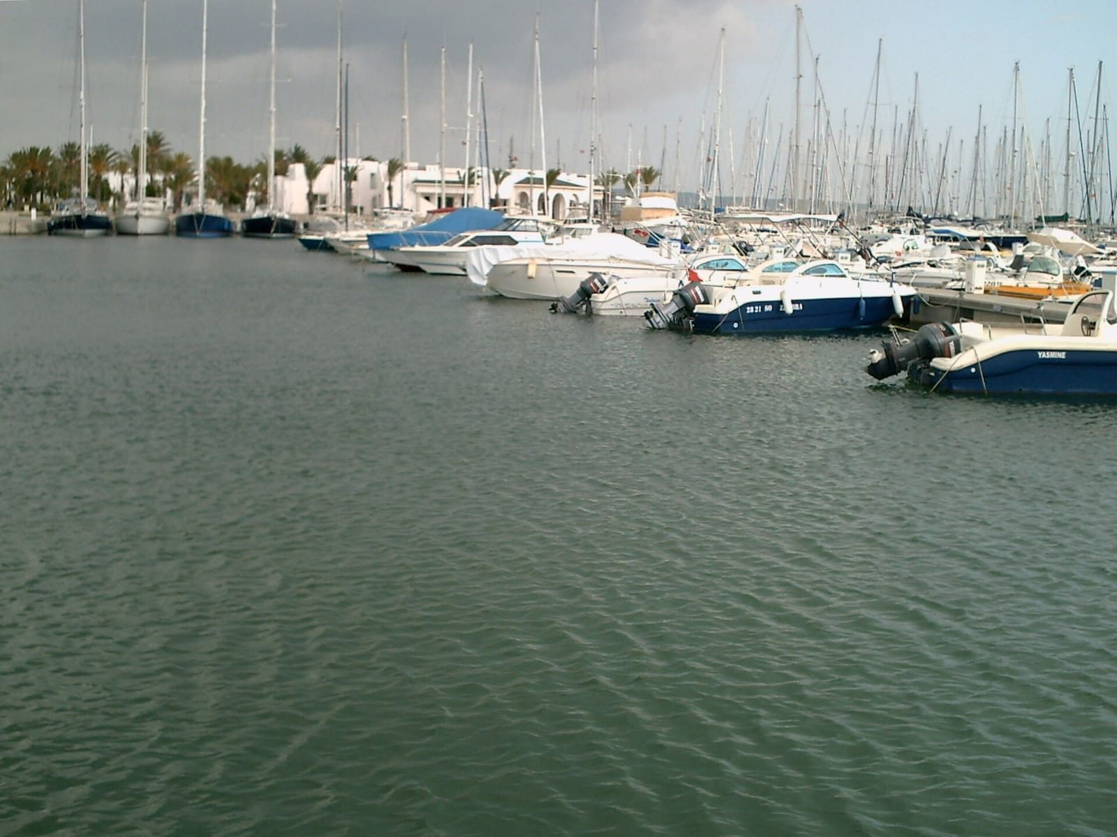 Café el marsa photo 2