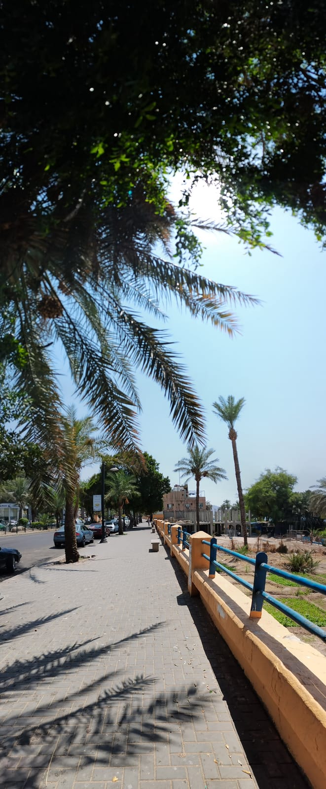 Siii Café Aqaba photo 2